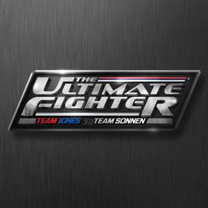 The Ultimate Fighter Finale 17