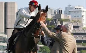 French Filly
