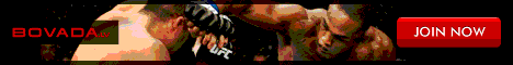 bovada ufc banner