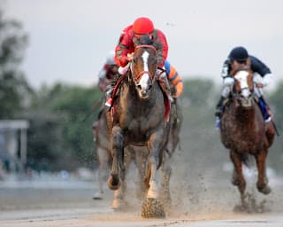 FlatOut Jockey Club Gold Cup Invitational Betting Odds
