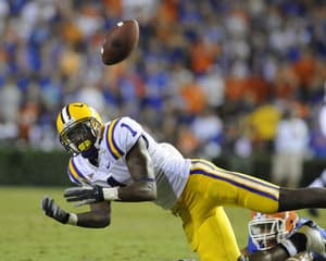 Brandon LaFell - An Important Fixture in his team
