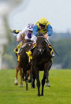 Novellist A Great bet For the Prix de l'Arc de Triomphe 2013