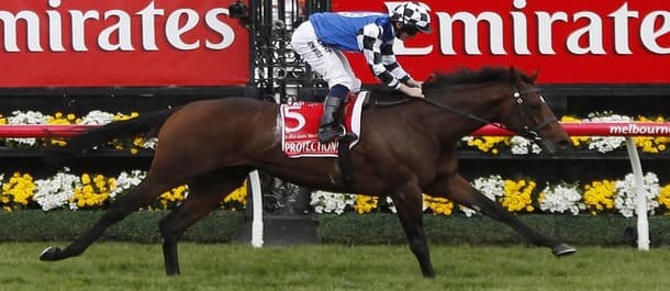 Protectionist