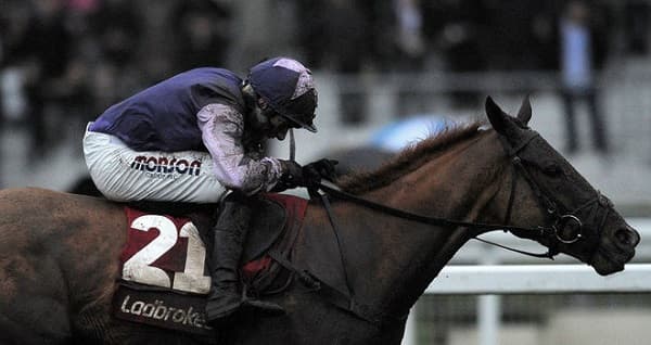 Willow's Saviour Ascot Prize