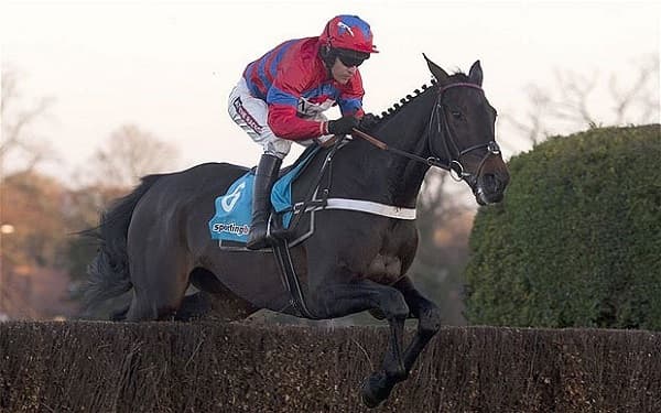 Horse Racing Betting Guide