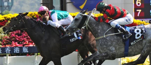 Gabrial (IRE) Horse Racing