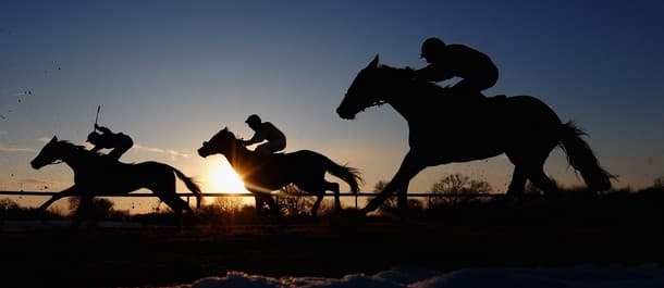 Horse Racing Tips