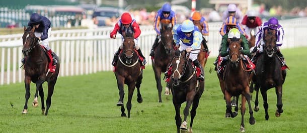 Horse Racing Tips