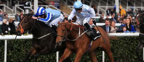 Horse Racing Tips