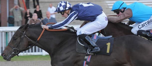 Horse Racing Tips