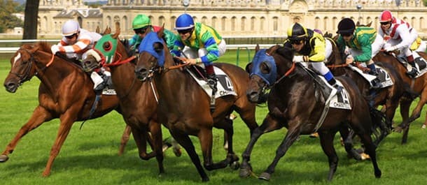 Horse Racing Betting