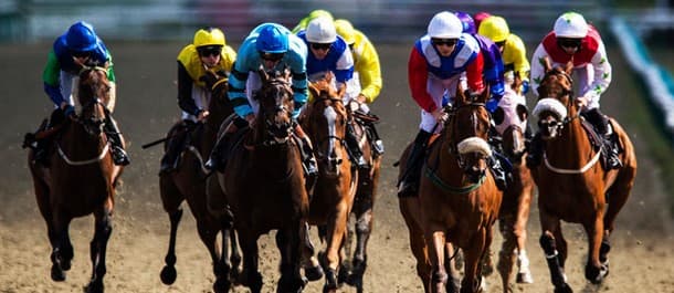Horse Racing Tips