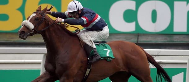 Horse Racing Tips