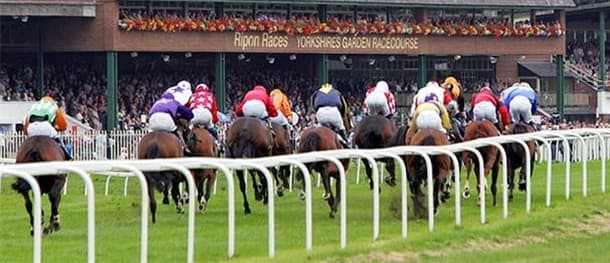Ripon Horse Racing