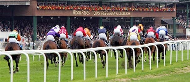 It's an excellent meeting at Ripon on Saturday.