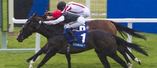 Horse Racing Tips
