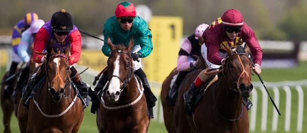 Harvard Horse Racing