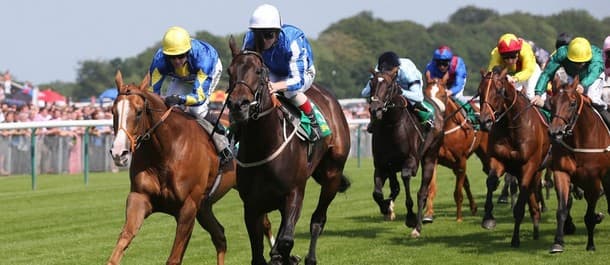 Horse Racing Tips