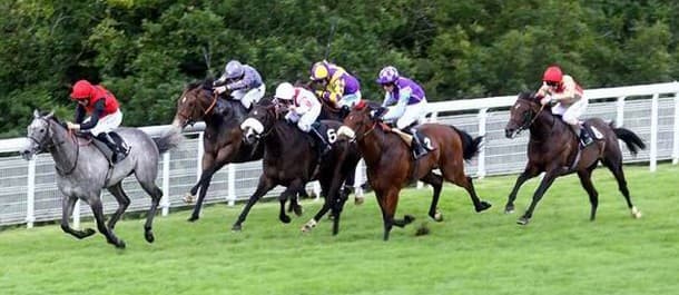 Horse Racing Tips