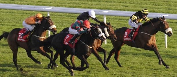 Horse Racing Sports Betting