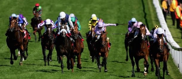 Horse Racing Tips