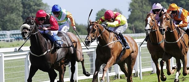 Horse Racing