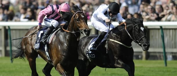 Horse Racing Tips