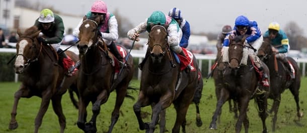 Horse Racing Tips