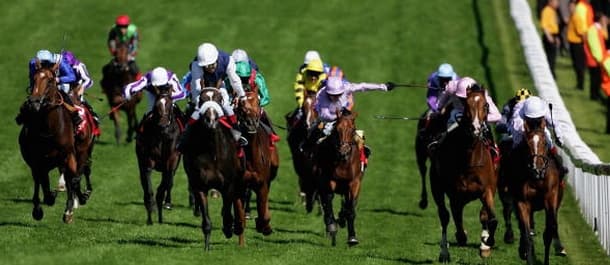 Horse Racing Tips
