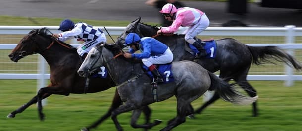 Horse Racing Tips