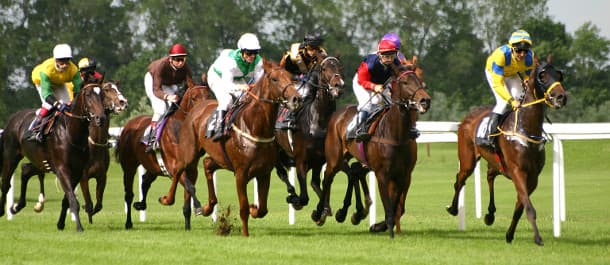 8th of July Horse Racing