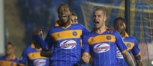 Shrews