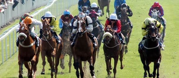 Horse Racing Tips