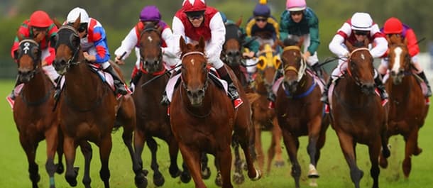 Horse Racing