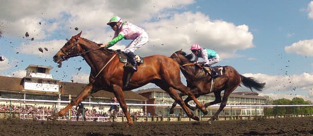 18th of August Horse Racing Tips