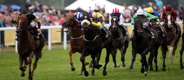 Horse Racing Betting Tips