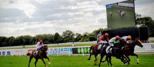 Horse Racing Tips