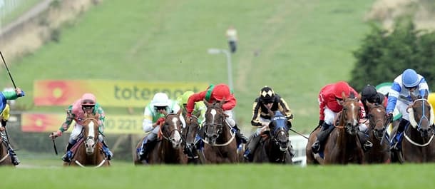 Horse Racing Tips