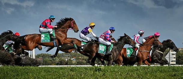 Horse Racing Tips