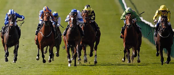 Horse Racing Tips