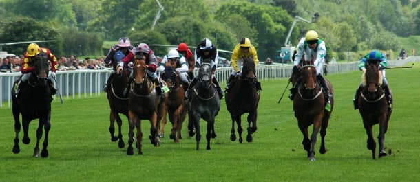 Horse Racing Tips