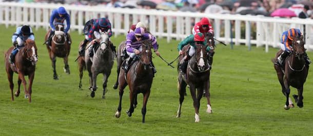 Horse Racing Tips