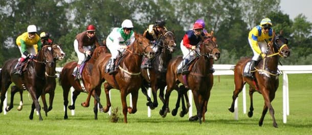 12th of November Horse Racing Tips