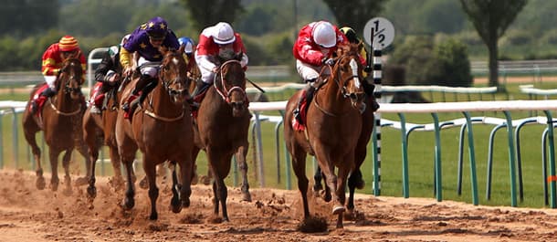 Horse Racing Tips 24th of November