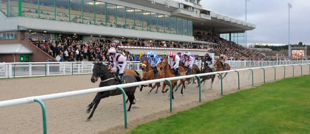 Intense Horse Racing Match