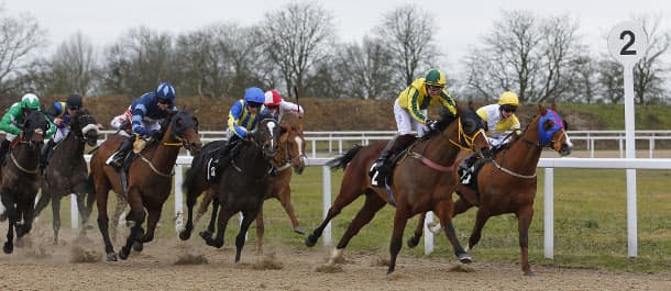 Chelmsford Horse Racing