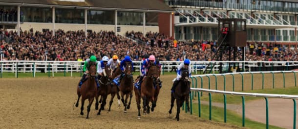 Linfield Horse Racing