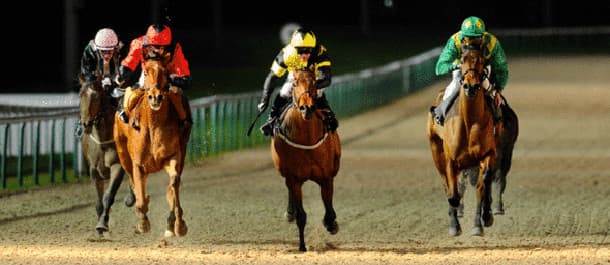 WolverHampton 29th of February