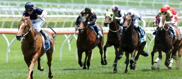 Extreme Choice is a worthy favourite for the Golden Slipper.