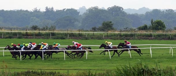 Ingleby Hollow's prominent style can be rewarded at Catterick.